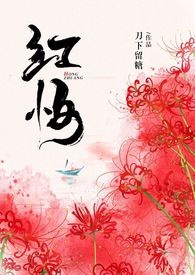 红妆简谱教唱视频全部